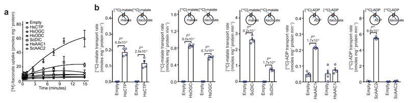 Extended Data Figure 4