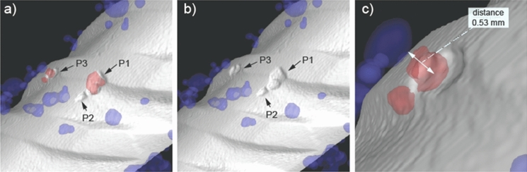 Fig. 6