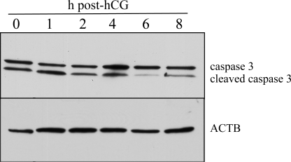 FIG. 7.