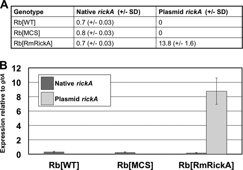 FIG 3