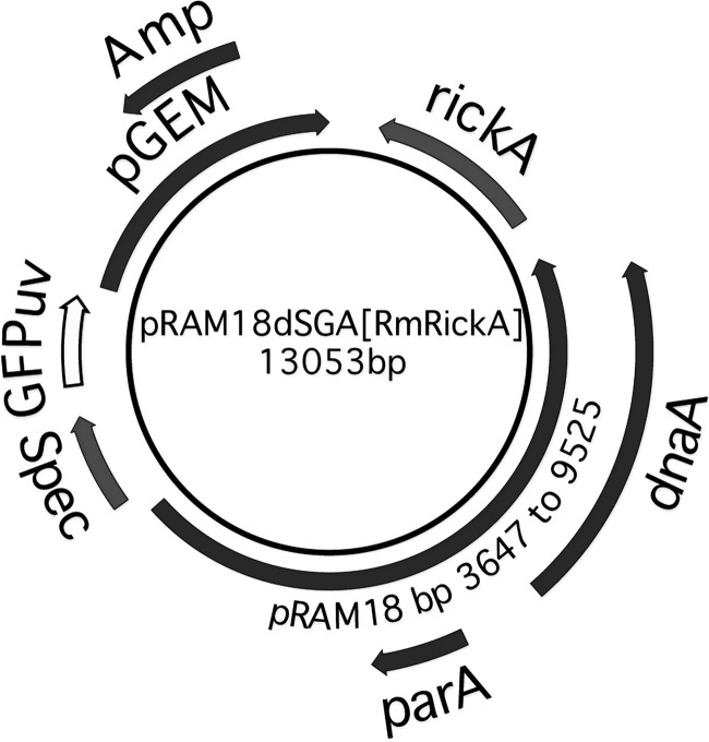 FIG 1