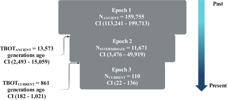 
Fig. 3.