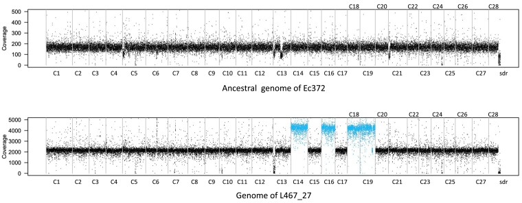 
Fig. 2.