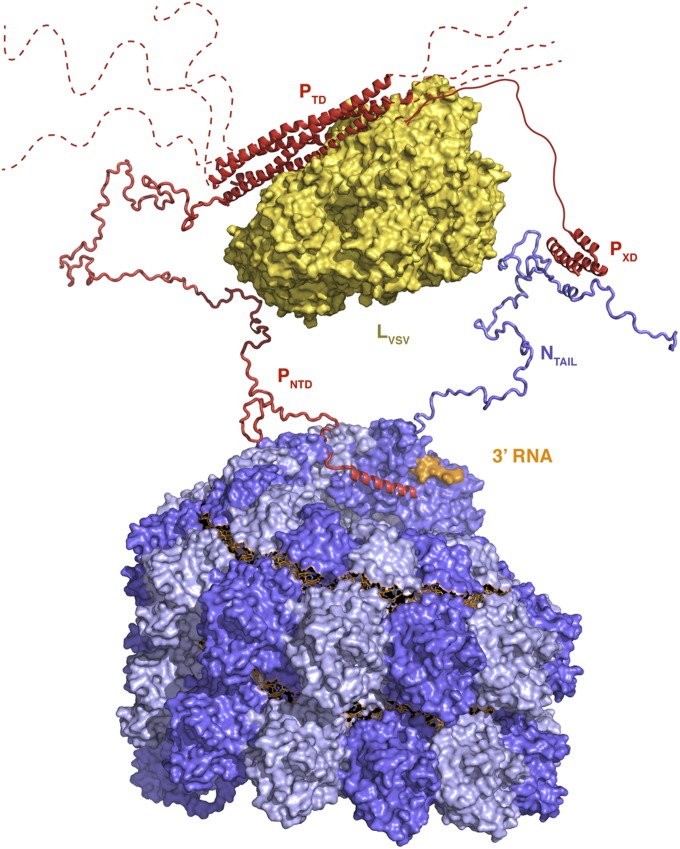 Fig. 7.