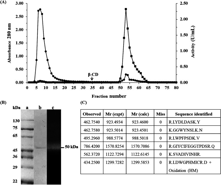 Figure 1. Purification and characterization of α-amylase: (A) Elution profile of purification using epoxy-activated Sepharose 6B linked with β-cyclodextrin (β-CD) for affinity chromatography. The fractions were analyzed enzyme activity (■) and protein concentration at A280 nm (●). (B) Electrophoresis pattern and amylase activity. Molecular weight markers (lane a) and purified enzyme (lane b) using SDS-PAGE, amylase activity by Zymographic method (lane c). (C) Digested peptides which showed match with α-amylase sequence from plant α-amylases.