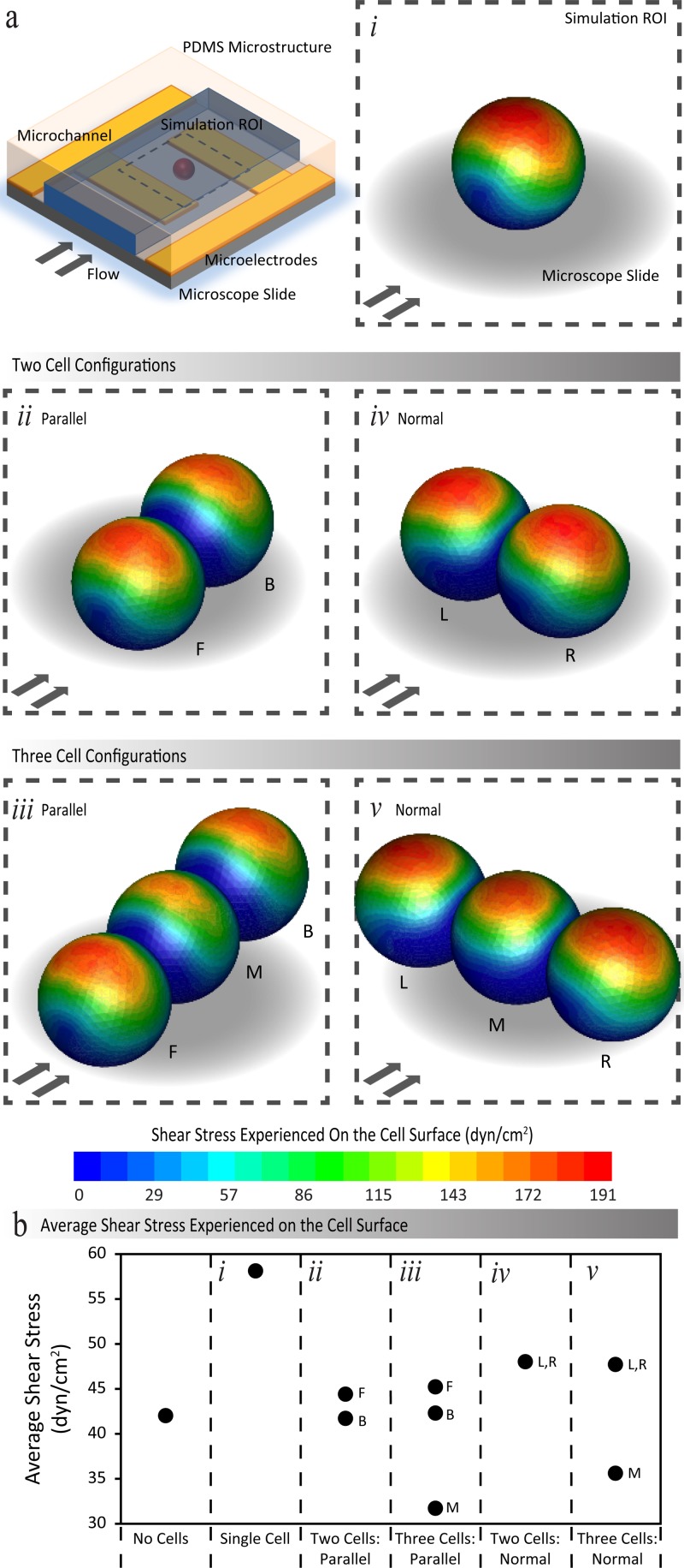 FIG. 3.