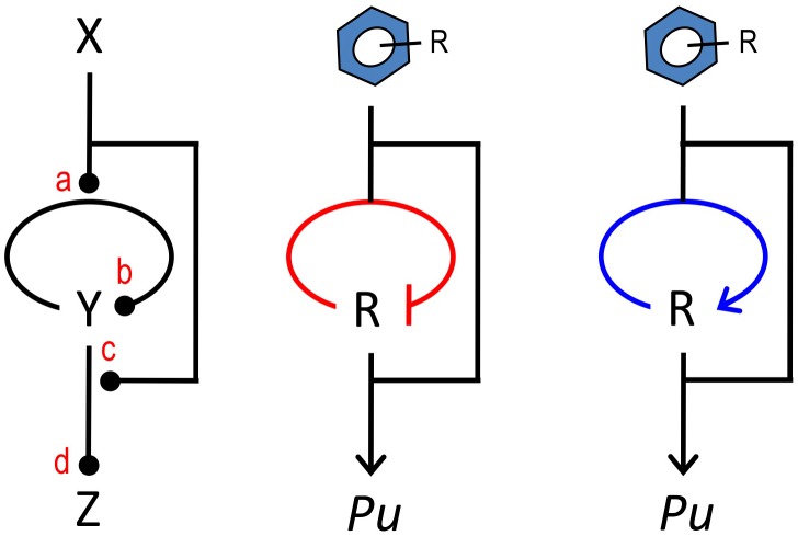 Figure 8