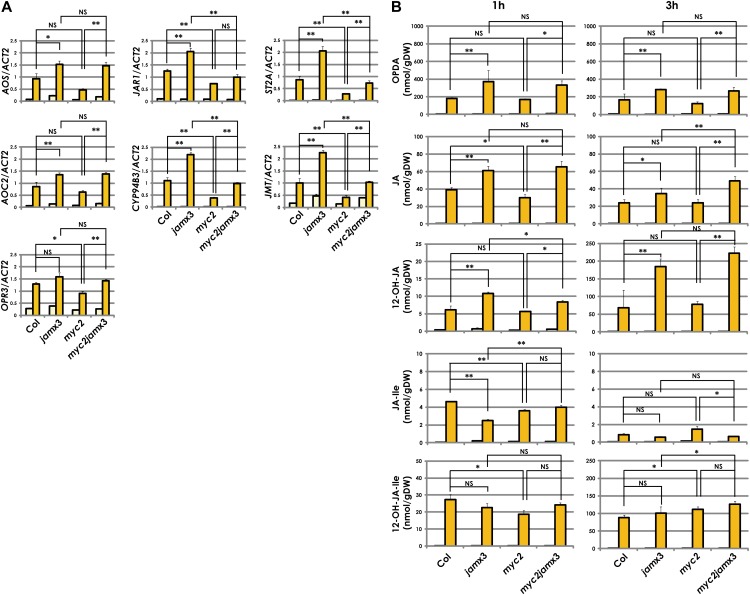 Figure 5.