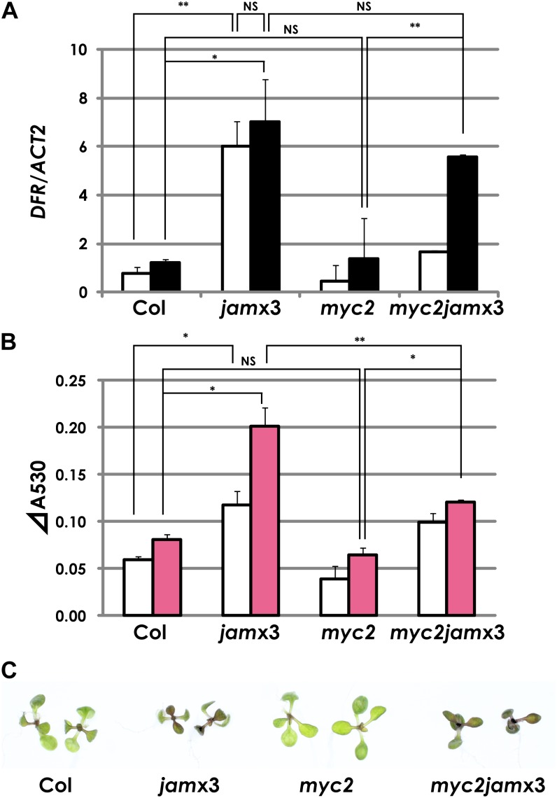 Figure 7.