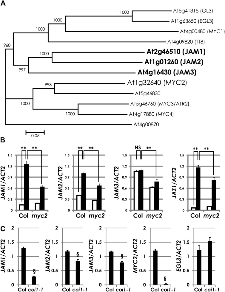 Figure 2.