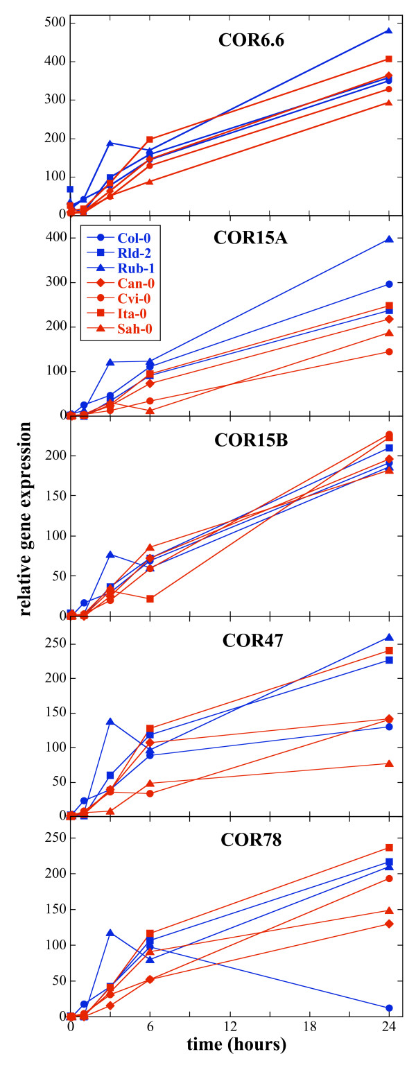 Figure 5