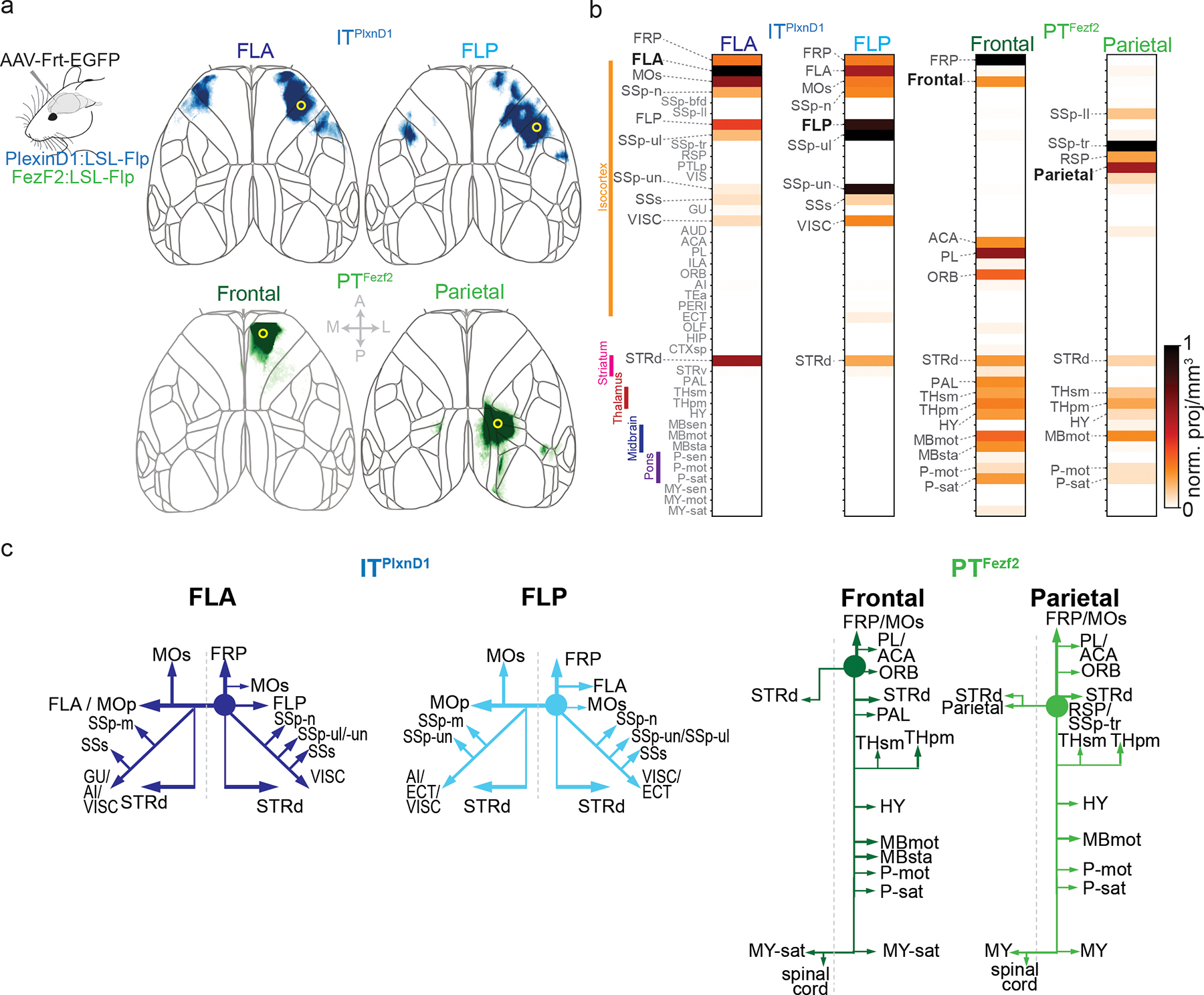 Figure 6.