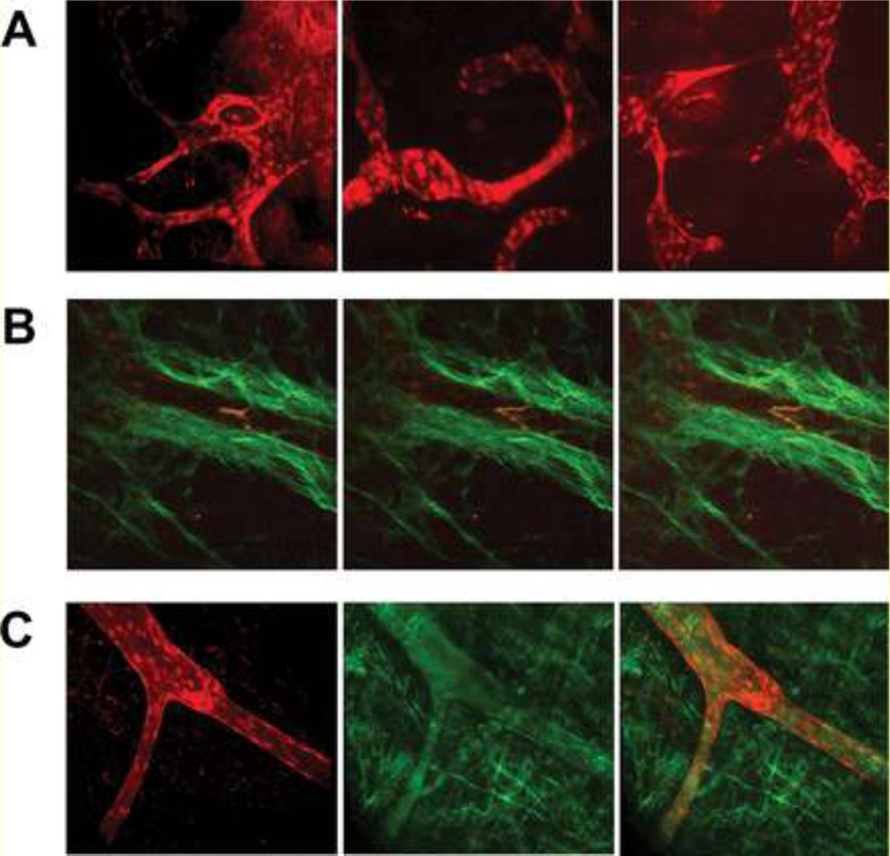 Figure 11.