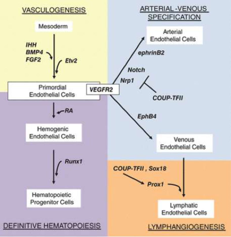 Figure 12.