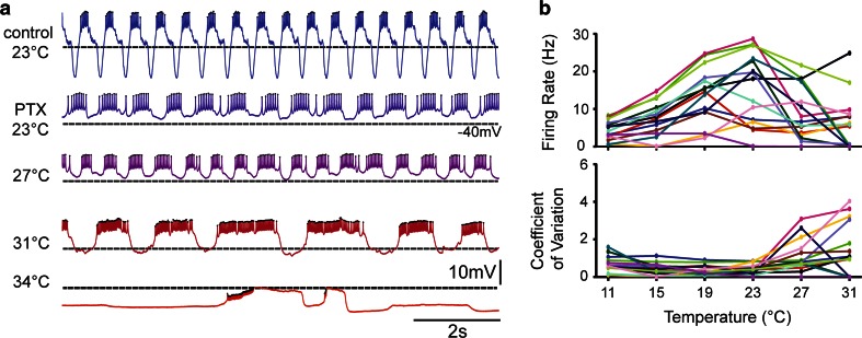 Fig. 2