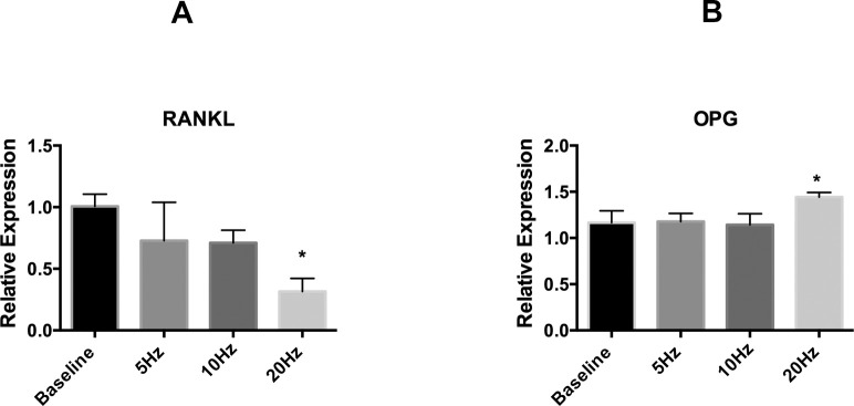 Figure 3. Gene expression of RANKL and OPG with different low-frequency mechanical vibrations in MC3T3 cells. Real-time PCR analysis was performed for gene expression of RANKL and OPG. Points are the mean ± SD for each group. (A) Relative gene expression analysis for RANKL transcript. * Significant difference between 20-Hz vibration and baseline (P < .05). (B) Relative gene expression analysis for OPG transcript. / * Significant difference between the 20-Hz vibration and other experimental groups (P < .05).