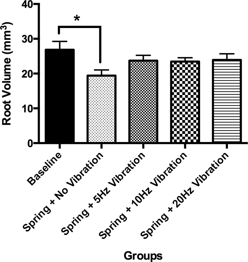 Figure 4. Micro-CT data showing root volume of mesiobuccal root in different groups. Note significantly (*) decreased root volume in the spring + no vibration group (group 2) compared with baseline group.