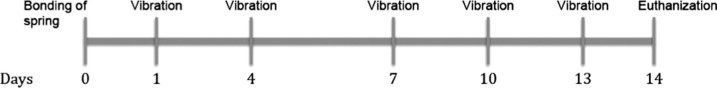 Figure 2. Schematic of experimental procedure and application of low-frequency mechanical vibration.