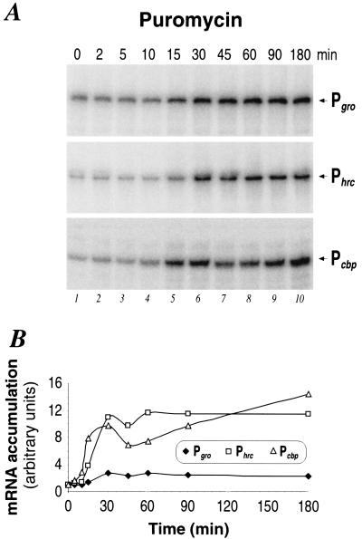 FIG. 5.