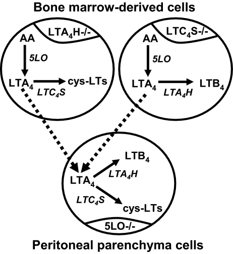 Fig. 5.