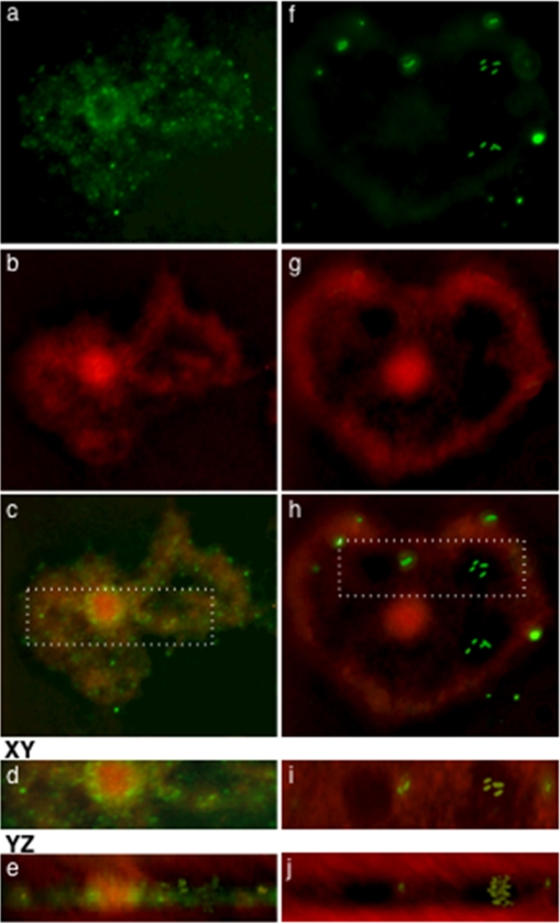 FIG. 4.