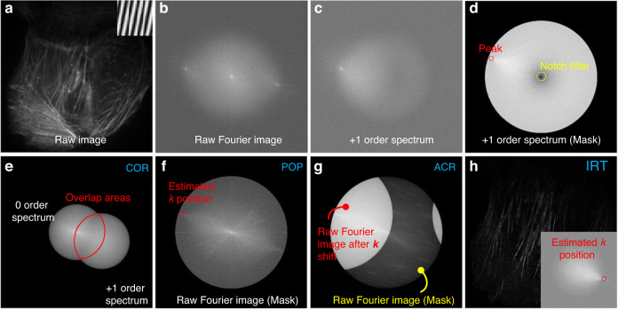 Fig. 9