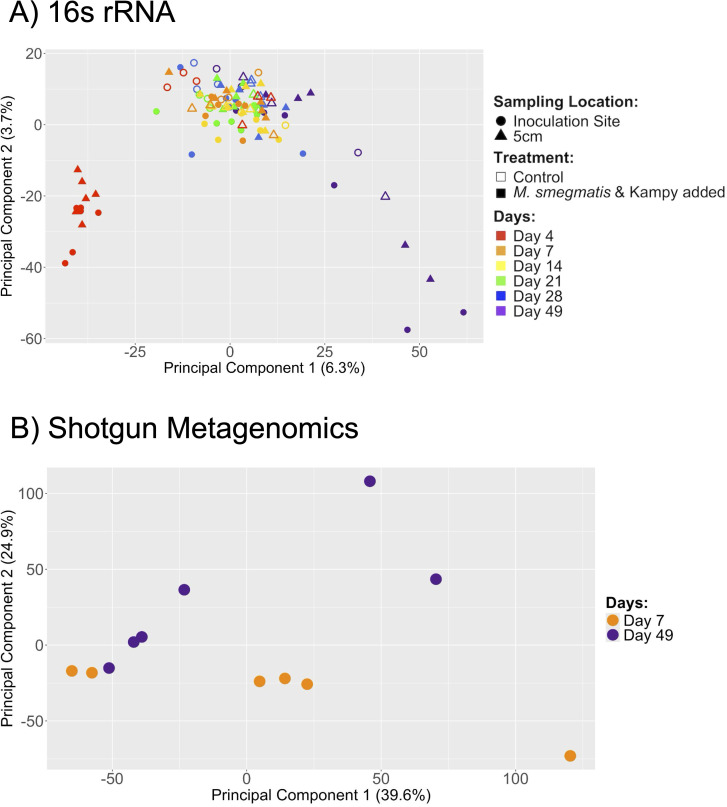 PCA plots present microbial community variation using 16s rRNA and shotgun metagenomics, with distinct separation over time and data points visualized based on sampling location, treatment, and day.