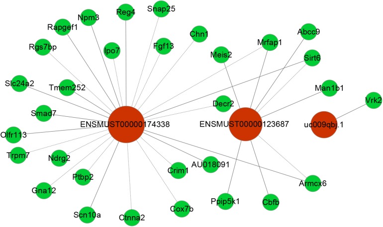 FIGURE 6