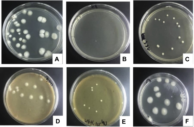 Figure 4