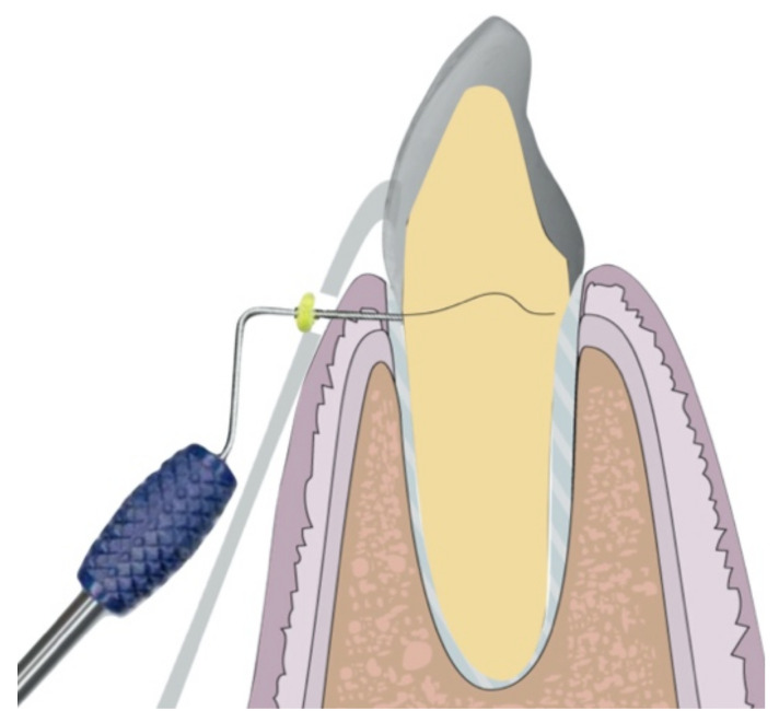 Figure 7