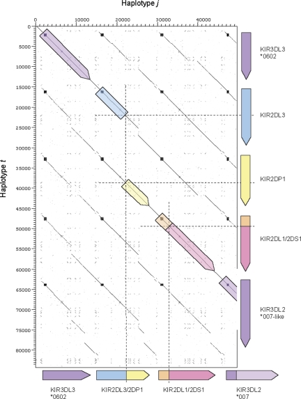 Figure 6.