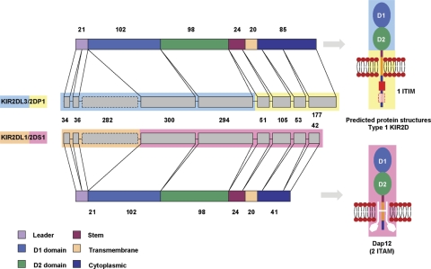 Figure 14.