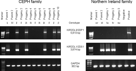 Figure 4.