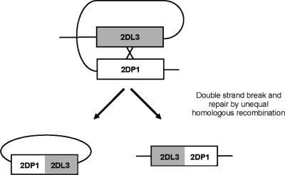 Figure 10.