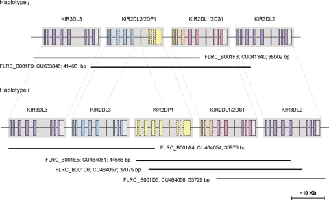 Figure 3.