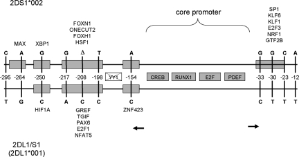 Figure 13.