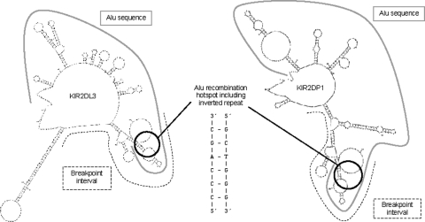 Figure 9.