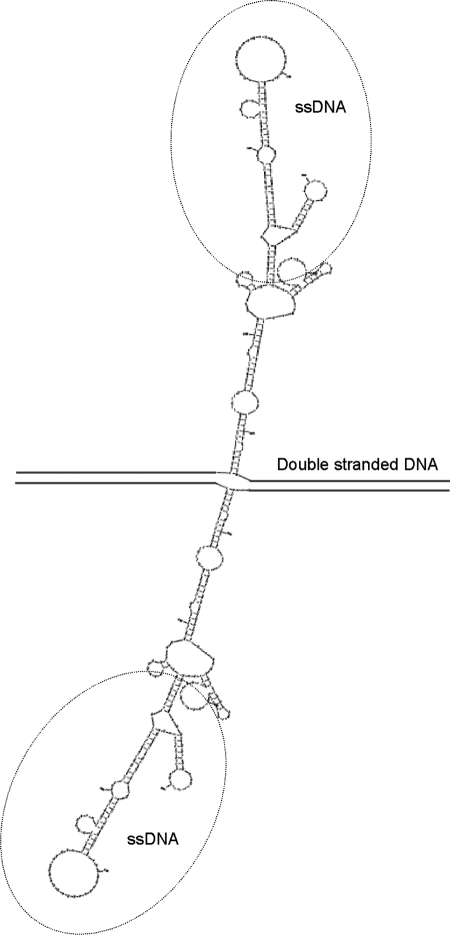 Figure 12.