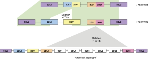 Figure 7.