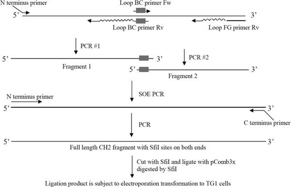 Fig. 2.