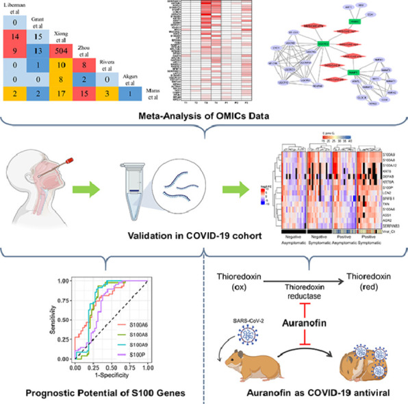 Image, graphical abstract