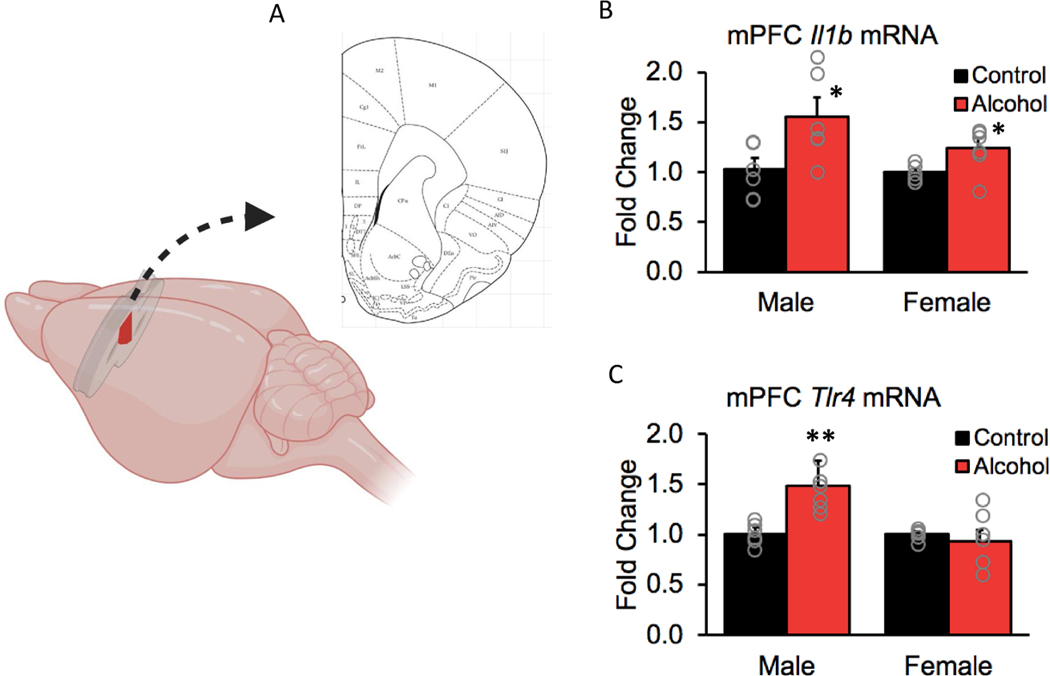 Figure 5.