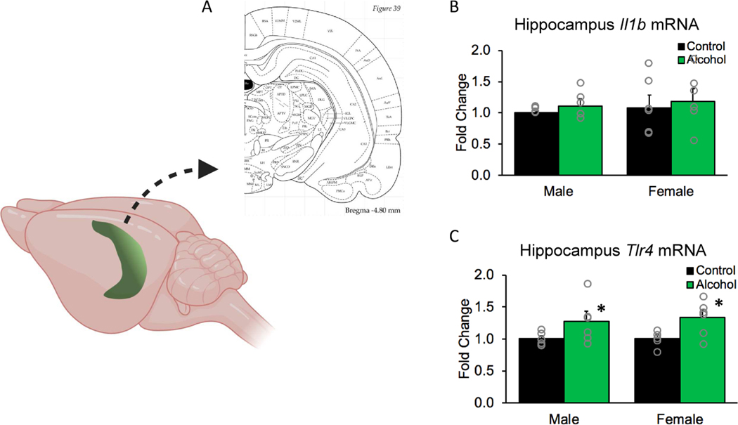 Figure 6.