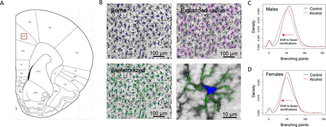 Figure 3.