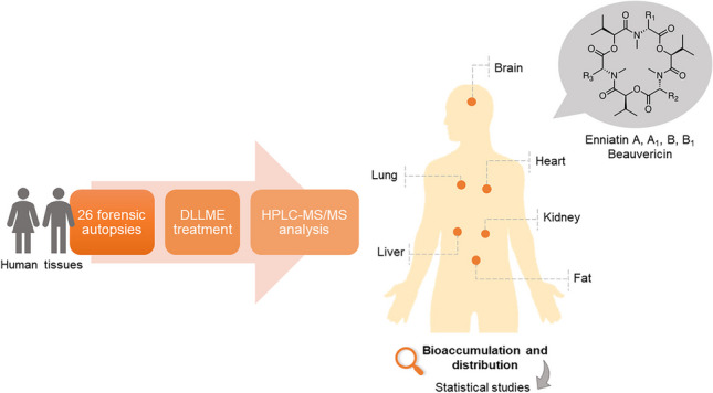 graphic file with name 216_2023_5040_Figa_HTML.jpg