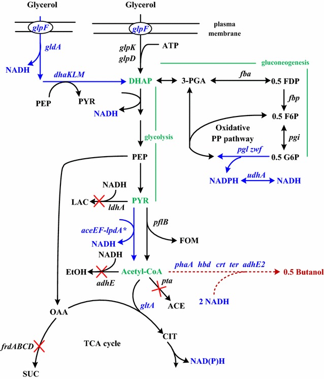 Fig. 1