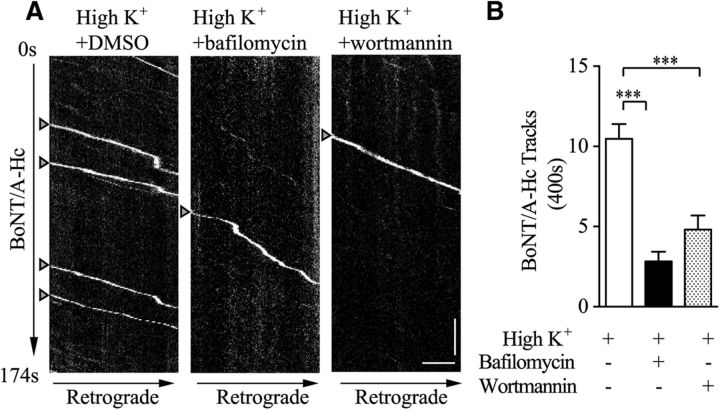 Figure 11.