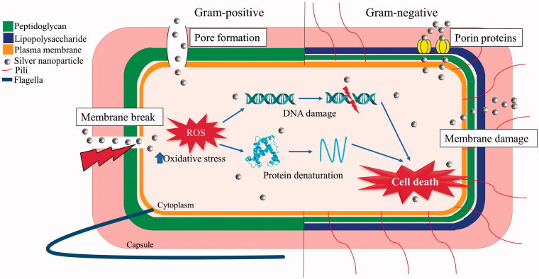 Figure 4.