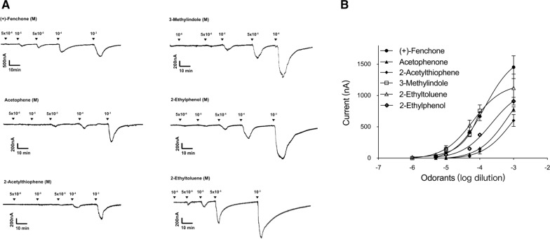 Fig. 3