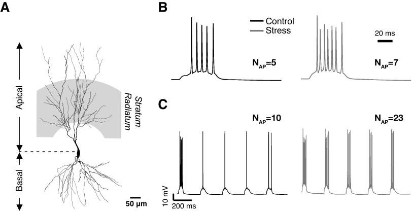 Fig. 4.